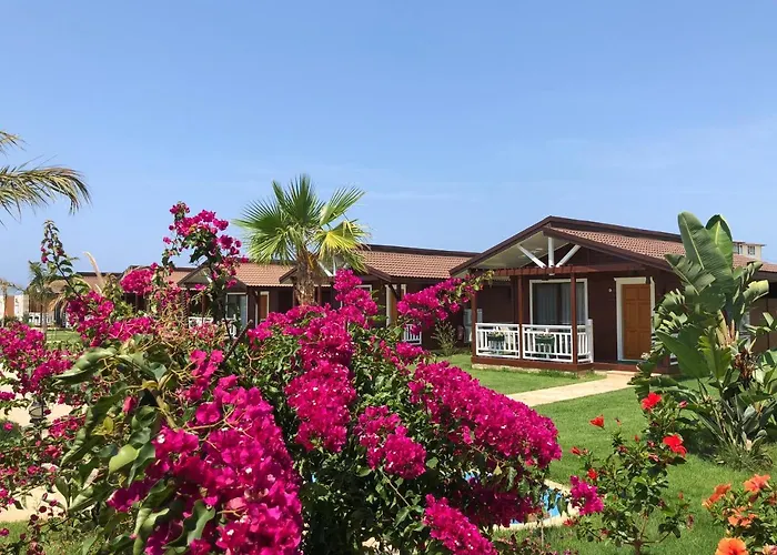 Sedir Park - Beach Bungalow