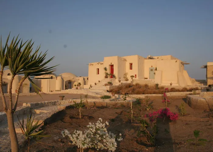 The Oasis