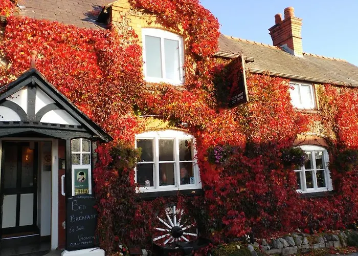 The Golden Lion Inn