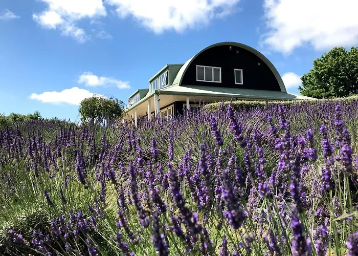 Lavender Hill
