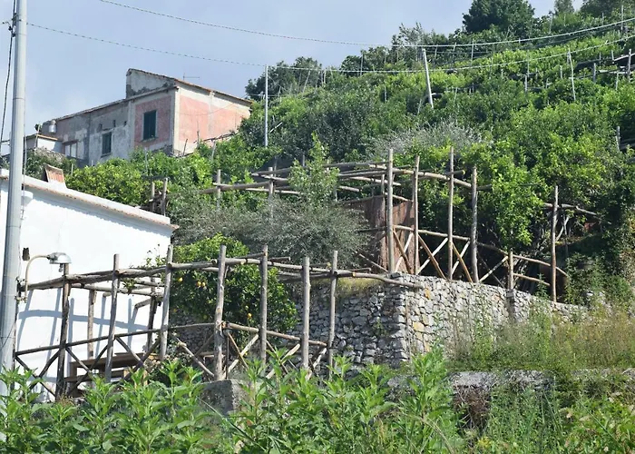 Torre Elisea