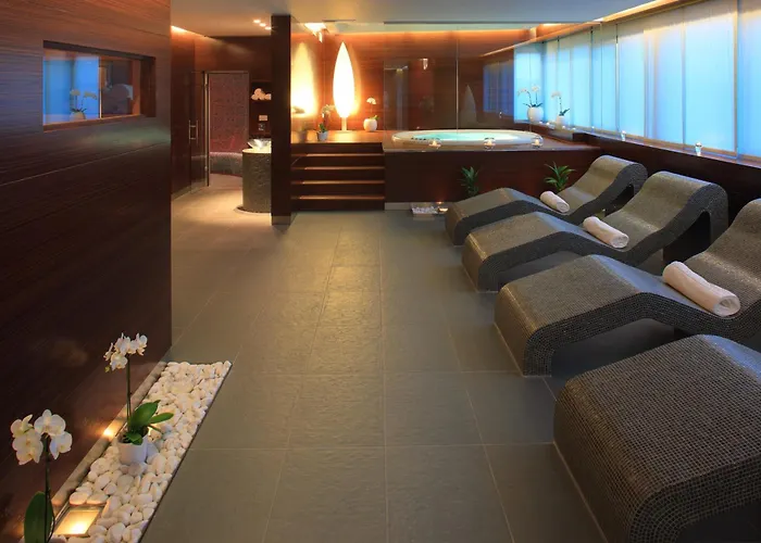 Hotel Aristos Buzin