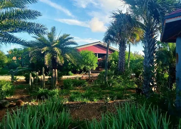 Red Palm Village