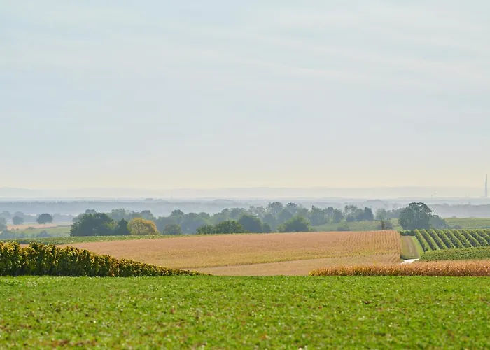 Weingasthaus Wisser Billigheim-Ingenheim