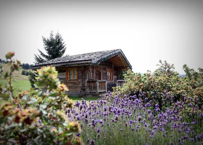 Hôtel Le Manoir des Montagnes